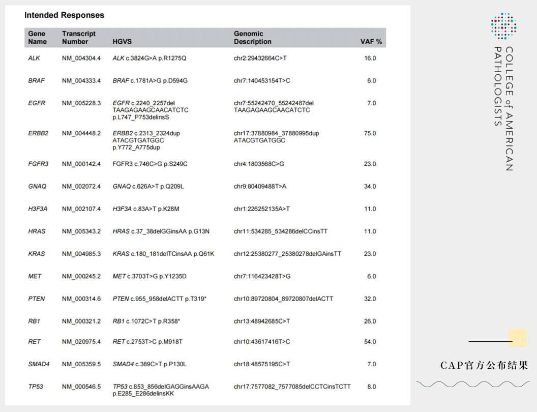 20240523786965.gif 20240523786965.gif